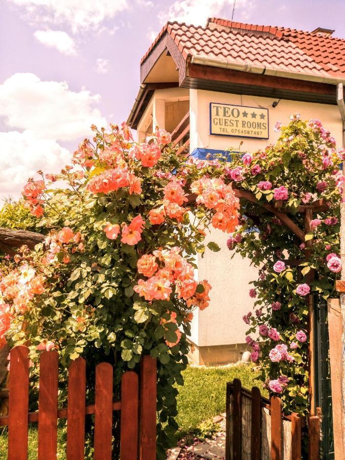 Teo Guest Rooms Баиле Феликс Экстерьер фото